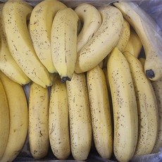고당도 낱발 못난이 바나나, 1개, 13kg