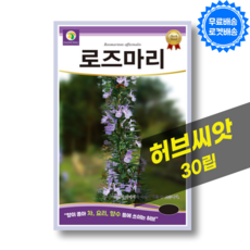 로즈마리 씨앗 Rosemary 로즈마리 씨 허브키우기 허브 종자, 1개