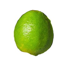 라임 생라임 1.5KG 3KG 4.5KG, 1박스