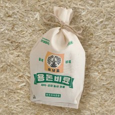 SANS 부모님 용돈 이벤트 자식 농사 봉투, 1개