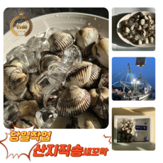 [굿피플] 새꼬막 새꼬막살 벌교꼬막 고막 벌교세꼬막 꼬막비빔장 참꼬막, 1박스, 새꼬막 1kg 대