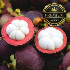 [타임특가] 태국직송 고당도 프리미엄 생 망고스틴, 1세트, 500g (5~7과)