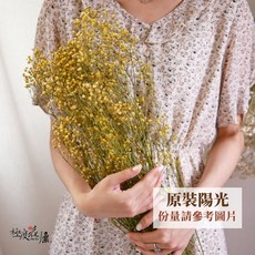 極度花燥 乾燥滿天星 花材 配花 永生花乾燥花, 【乾燥滿天星】陽光,大份量原裝包