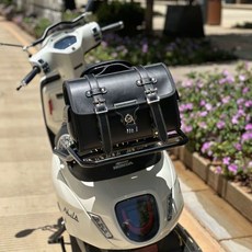 스쿠터 리어백 오토바이 가죽 캐리어백 수납가방 소형 고출력 번호판용 후미가방, 그린