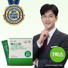 맥스나민(MaxNAMIN) 고용량 비타민 B3 1000g 니코틴산아미드, 1개, 60회분