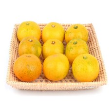 로켓터틀 수제 라탄 사각 쟁반 업소용쟁반, 정사각