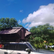 pinkri 루프탑텐트 2인용 하드탑 차박 루프탑 캠핑, 단일 텐트, 블랙 쉘 내부 상단 커피색 원단