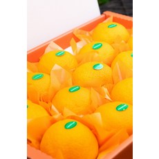제주 고당도 써니트 한라봉 3키로 5키로 선물용 가정용 택배, 1개, 3kg