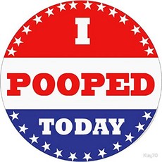 투표 스티커 - I Pooped Today - 스티커 그래픽 - 자동차 벽 노트북 셀 창문 자동차 트럭용 트럭 스티커 416677