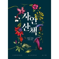 자연 산책:지혜로운 식물을 만나는 시간, 조세피나 헵,비비안 라빈 글/마리아 호세 아르세 ..., 보림