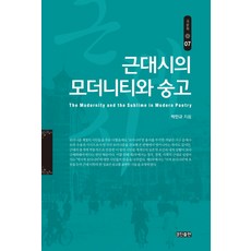 근대시의 모더니티와 숭고, 경진, 박민규 저