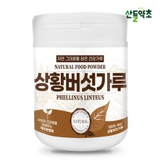 100% 국산 상황버섯가루, 1개, 100g