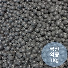 국산 약콩, 1개