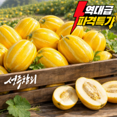 [재구매1등] 초고당도 성주 못난이 참외 초특가, 1박스, 10kg (랜덤과)
