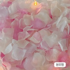 웨딩 플라워샤워 꽃잎 400p 장미꽃잎 컨페티 파티 소품 CF01