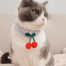 고양이 강아지 체리 뜨개 케이프 1P 반려묘 반려견 애견 스카프 펫 패션 아이템 액세서리, 블루, 1개