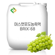 머스캣포도농축액 68Brix 200g 샘플, 1개