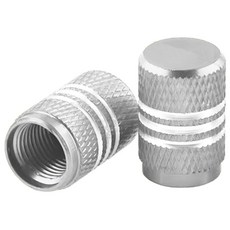 킹콩 알루미늄 타이어 밸브캡 투톤 컬러 자동차 오토바이 공용, 실버, 2개