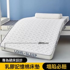 打地鋪租房專用牀墊軟墊加厚1米5乳膠墊子家用榻榻米炕墊學生單人