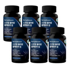 스프링블라썸 페루산 초고함량 49.99 블랙마카업 6통 (12개월분) 고품질의가장좋은 원료와 아르지닌 흑마늘 흑삼 야관문 배합, 120정
