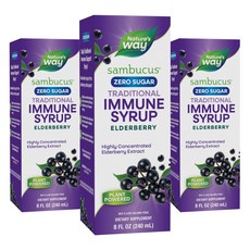 네이쳐스웨이 삼부커스 엘더베리 시럽, 240ml, 3개