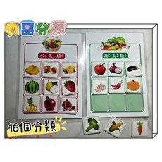 物品分類配對認知手工教具 161種分類