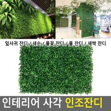 인조잔디 사각 업소, 새순