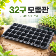 제이마켓 모종판 32구, 10개