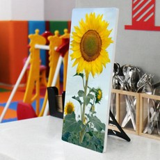 ta956-폼아크릴액자18CmX38Cm_풍수솟은해바라기
