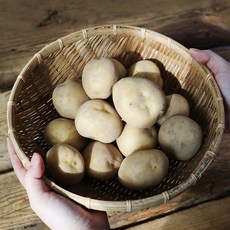 사시사철 맛좋은 우리땅 햇 감자(특) 5kg, 1개
