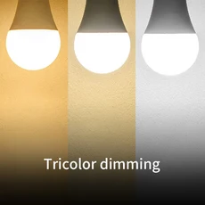 호환 LED 전구 E27 E14 B22 AC220V 3W 12W 램프 거실 홈 Led 집에 대 한, 03 Tricolor dimming, 03 3W, 01 E14 220V