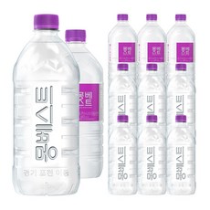 몽베스트 생수, 1L, 24개