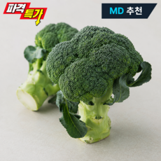 싱싱이네 국산 브로콜리 특품, 1박스, 2kg