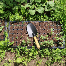 모종삽 농기구 삽자루 막삽 미니삽 모종심기 꽃삽 쇠삽 소형삽, 1개