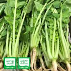 하늘농부 친환경 김치 열무 신선한 비빔 어린열무 4kg, 열무 4kg