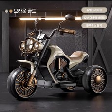 어린이용 전기 세발자전거, 전기 구동, 듀얼브라운골드+12v초대형배터리+블루투스음악, 1개