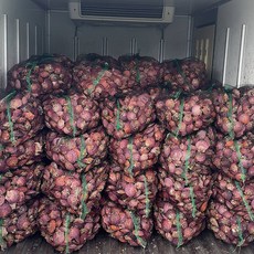 [통영직송] 제철 세척 비단 홍가리비, 1박스, 가리비 5kg