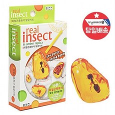[프리미엄]빨간오리 리얼 곤충화석 발굴 체험키트 DIY 장난감, 1개