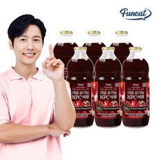 퍼니트 리얼 유기농 NFC 석류 주스 원액 석류즙 1000ml x 6병, 1L
