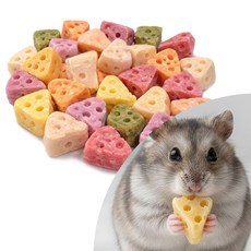 햄스터 먹이 간식 바누 햄스터 드롭스 새싹보리 완품, 1개, 50g