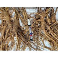 국산 약도라지 나물용 생도라지 모종용도라지 건도라지 금산 3년근 1kg, 1개, 1kg 약도라지(대)-미세척