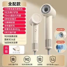 반려동물 울트라 저소음 고속 펫 헤어드라이어 강아지 고양이 전용, 프리미엄-음이온, 1개, 1L