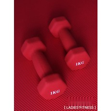 핵스쿼트 브이스쿼트 운동기구 여성용 컬러 미니 아령, 3. 매트 퍼플, 3kg(1.5kgx2개)