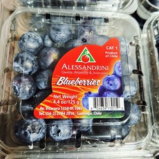 칠레산 생블루베리 블루베리 생과 제철과일, 1개, 125g