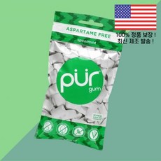 더 퍼 컴퍼니 츄잉껌 스피어민트 55개입 2.72온스 77g The PUR Company Chewing Gum Spearmint 55 Pieces 2.72oz