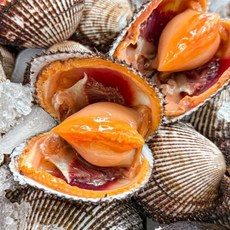 산지직송 당일채취 제철 국내산 통영 피꼬막, 1박스, 통영 피꼬막 6kg (90-120미내외)