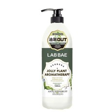 LAB BAE馬鞭草控油潔淨洗髮精 深層清潔、平衡油脂 告別油膩扁塌 展現自信秀髮, 1個, 1kg