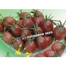 Evergrow Seed 紫晶靈2號 番茄種子, 1包