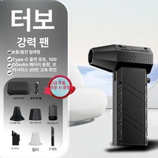 무브러시 터보 팬 손잡이형 고속 송풍기 먼지제거 핸디형, 프리미엄 에디션 300000 250g A1