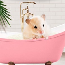 햄스터 목욕모래 500g 고양이화장실모래매트, 라벤더